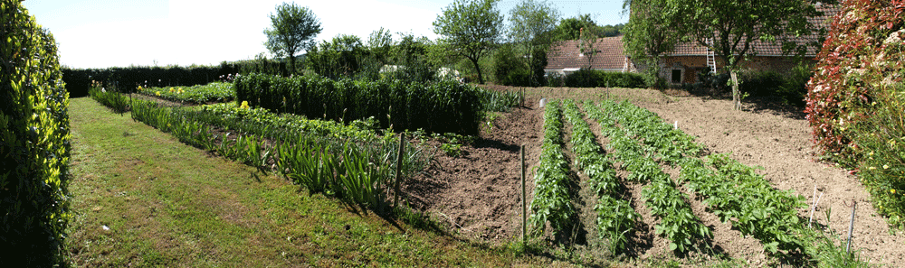 potager